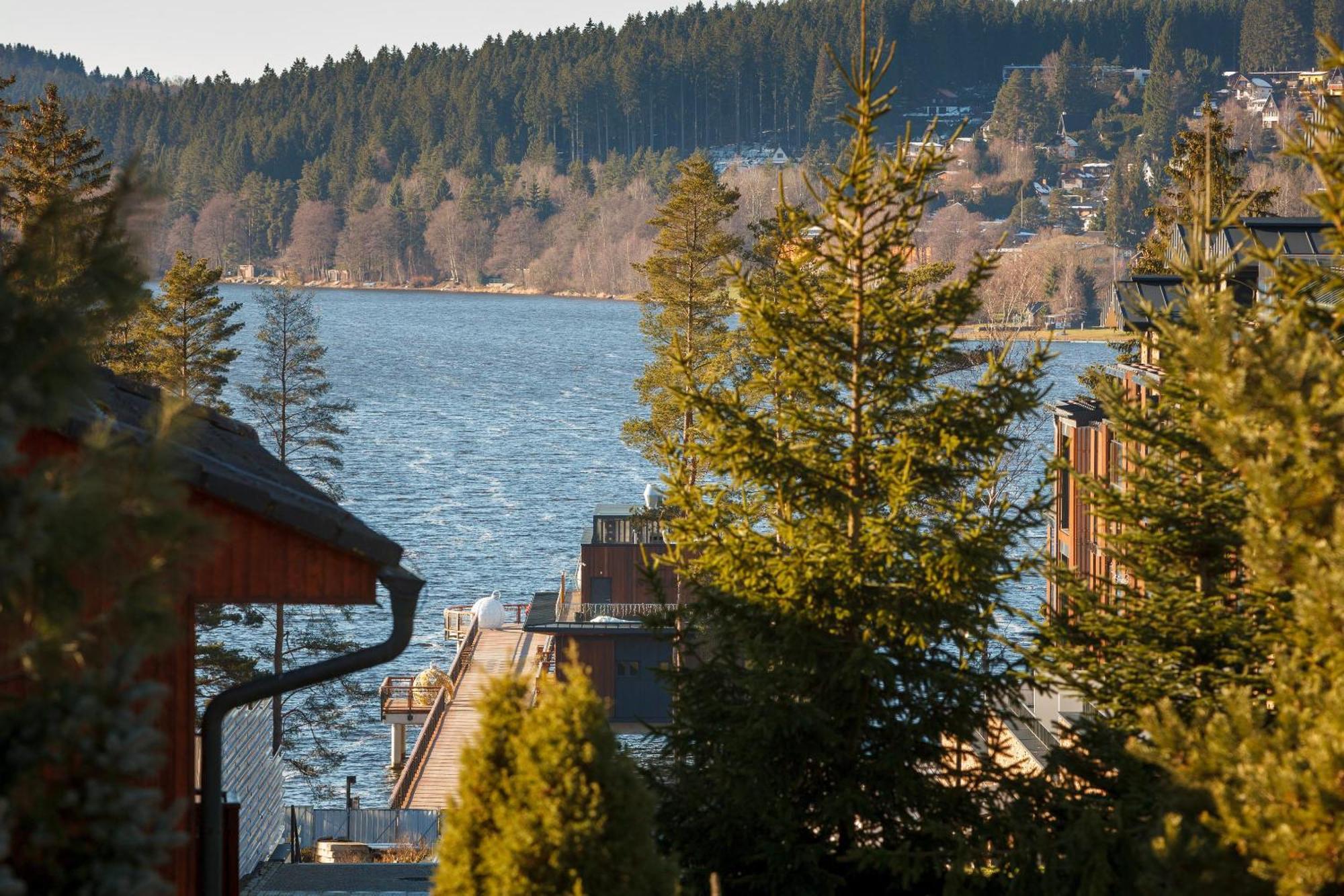 Vila Rozinka Lipno Липно над Вълтава Екстериор снимка