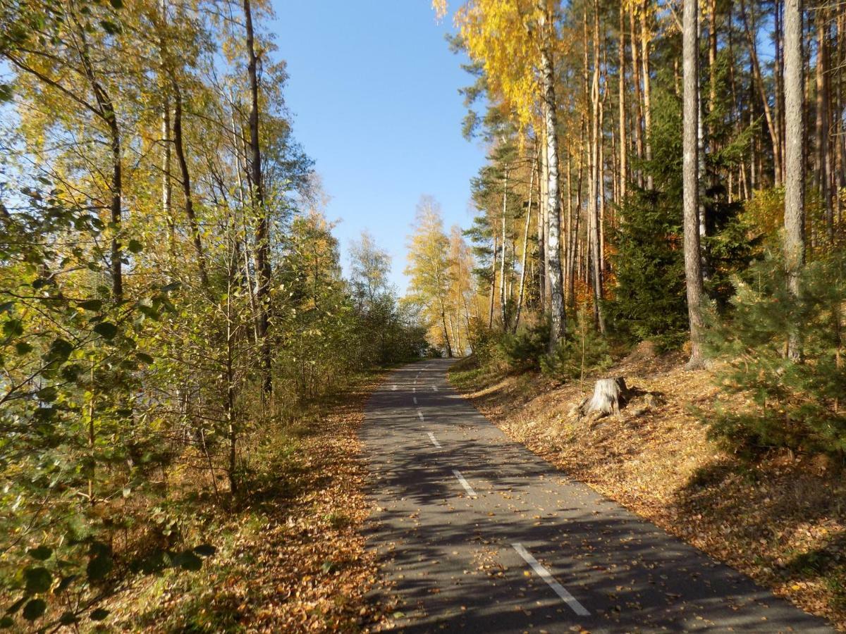 Vila Rozinka Lipno Липно над Вълтава Екстериор снимка